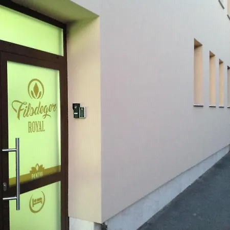 فندق مبيت وإفطار Filsdeger Haz 3*