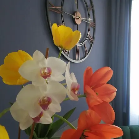 Oda ve Kahvaltı Filsdeger Haz Eğri